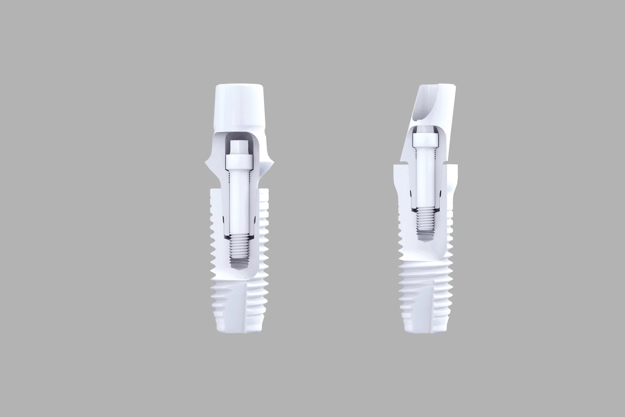Z-Systems implant ceramic din zirconiu monobloc — secțiune transversală